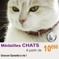 medailles_chat